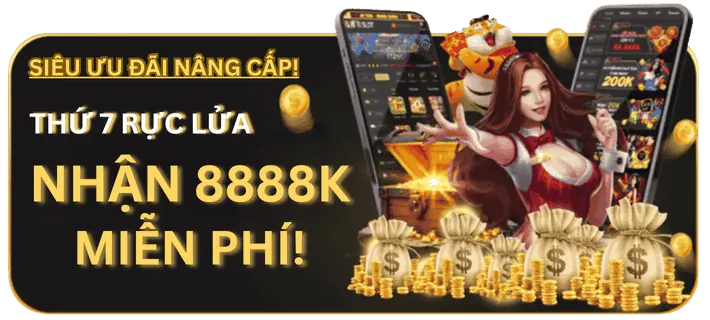 Chương trình VIP DN88