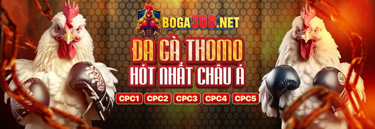 Bảo mật tài khoản DN88
